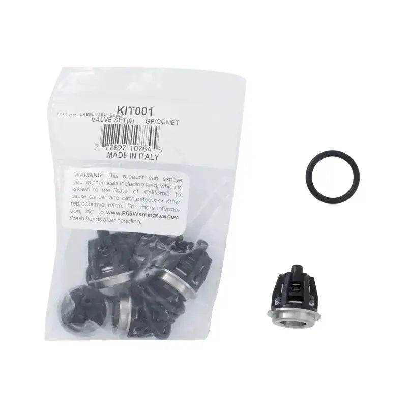 Valve Kit (LWD, ZWD, FWS, FW, TSS, TS) BE Power Equipment