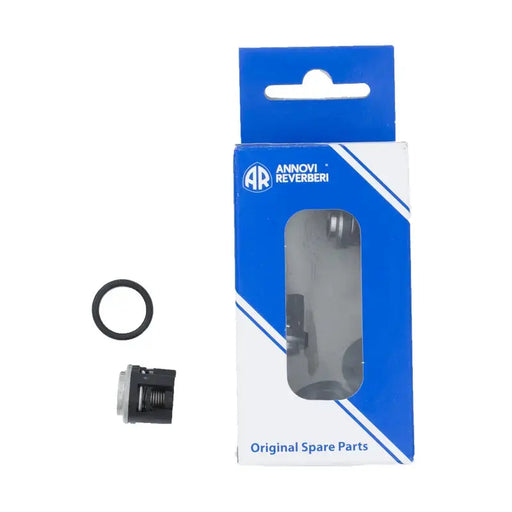 Valve Kit (RRV4G36D) BE Power Equipment