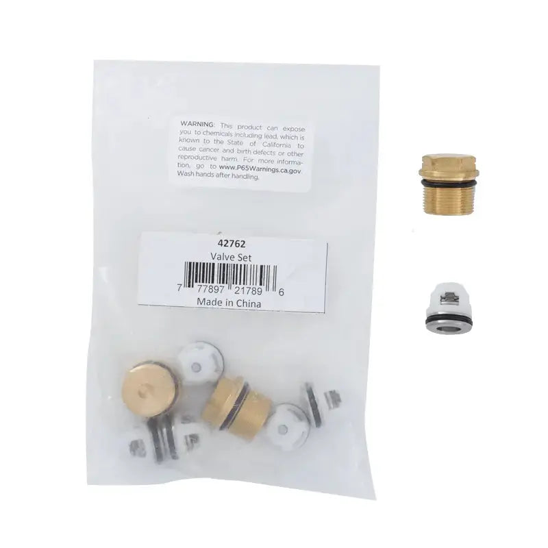 Valve Kit (RSV) BE Power Equipment